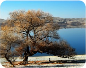 Fresno County
