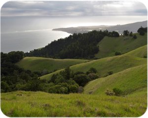 Marin County