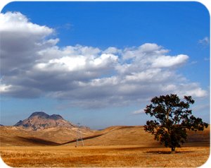 Sutter County