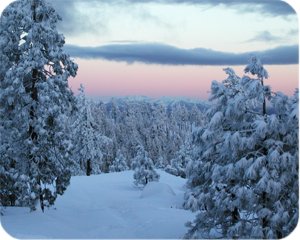 Trinity County